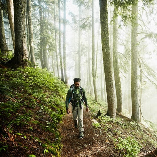 A man hiking on a forest trail, surrounded by tall trees and mist, wearing a backpack and outdoor clothing.