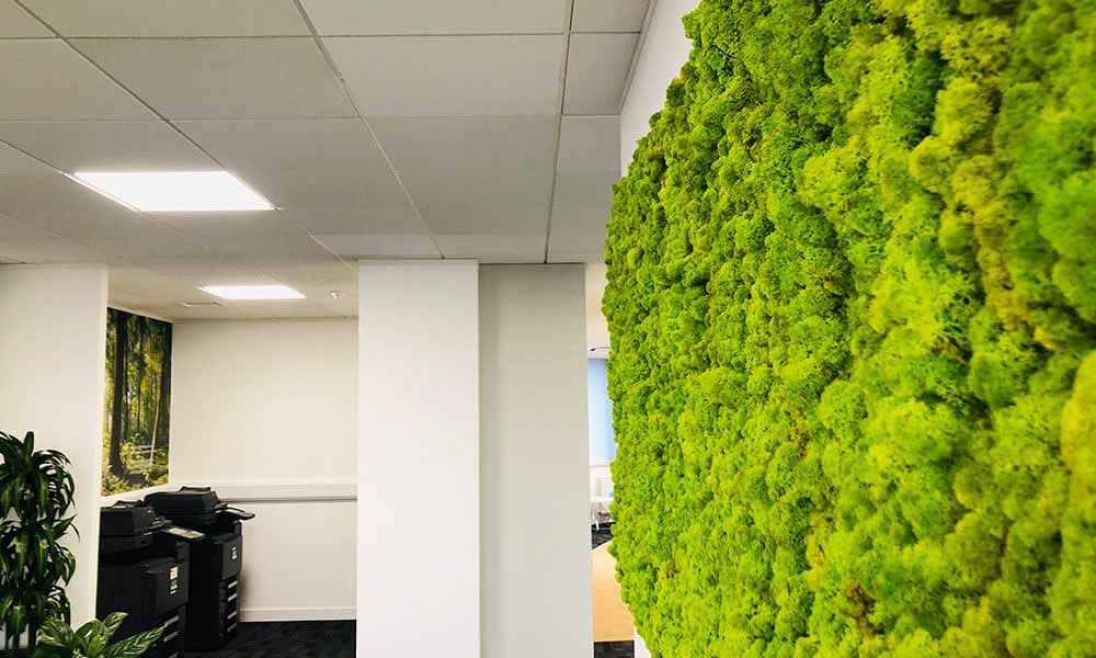 Moss wall in Simplyhealth office