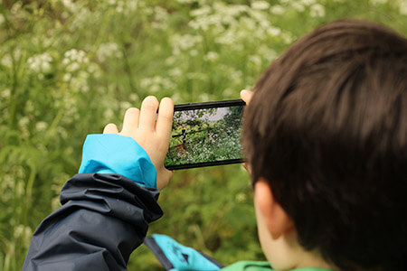 Child taking photo of nature on smart phone