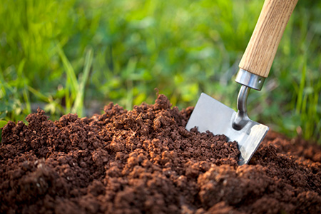 Shovel in soil 