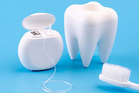 Model of a tooth, dental floss, and toothbrush