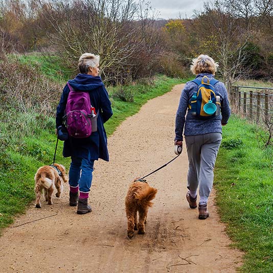 Two women walking their dogs along a countryside path in the winter